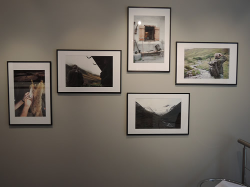 Christina Andersen – Eine Photoreportage über Hoch– und Treibjagd in der Schweiz (2015)
